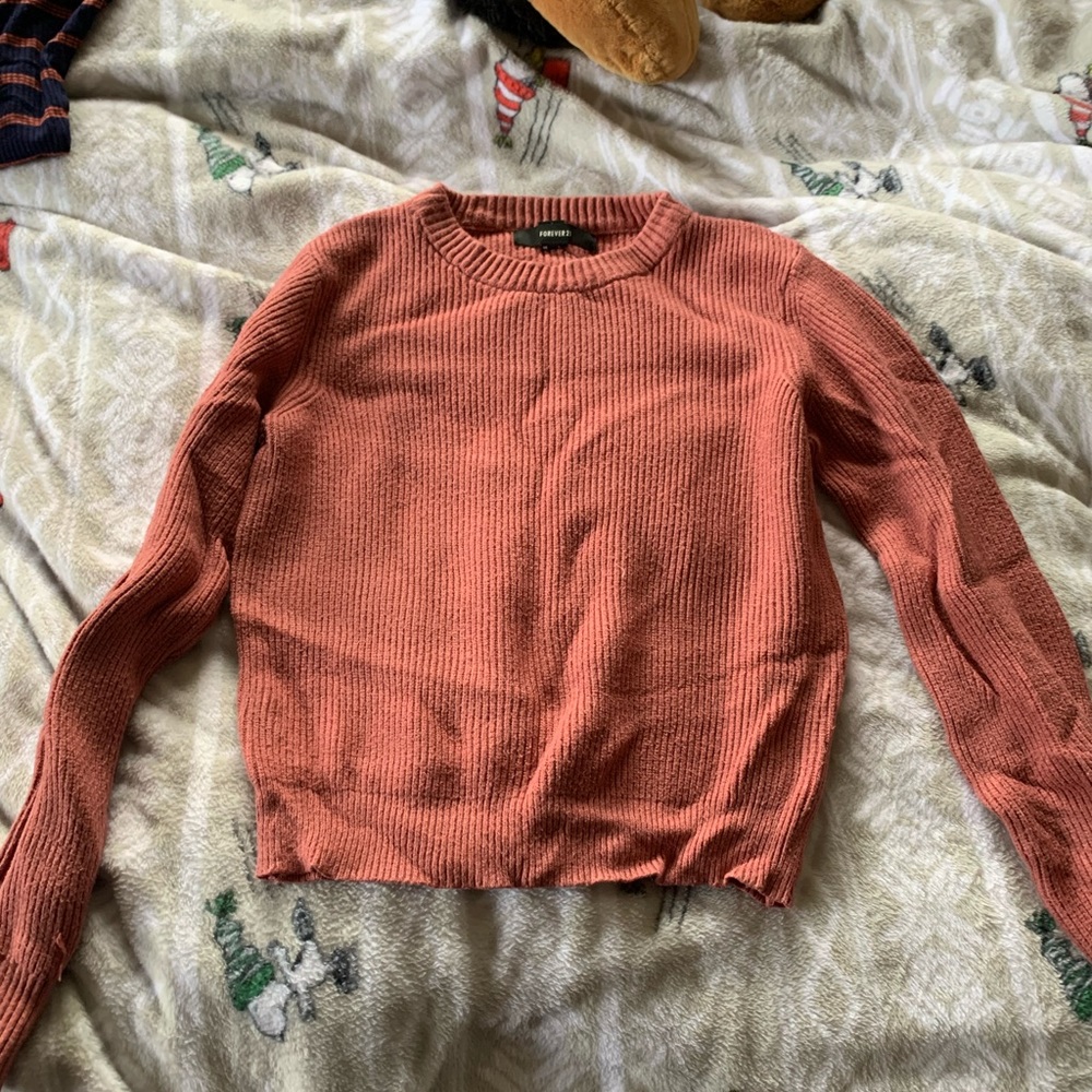 Forever 21 Cropped Sweater